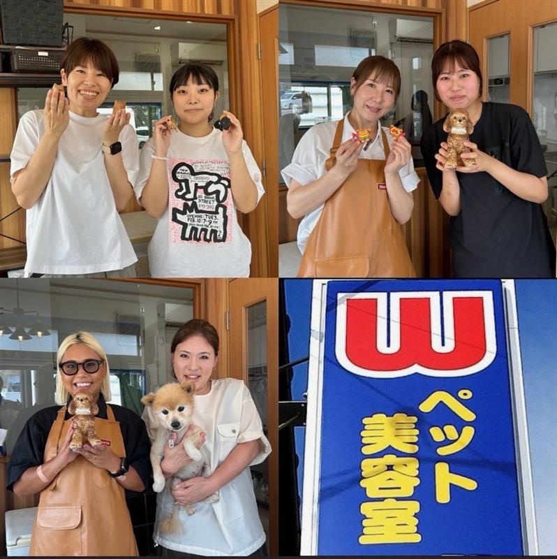 スタッフ紹介