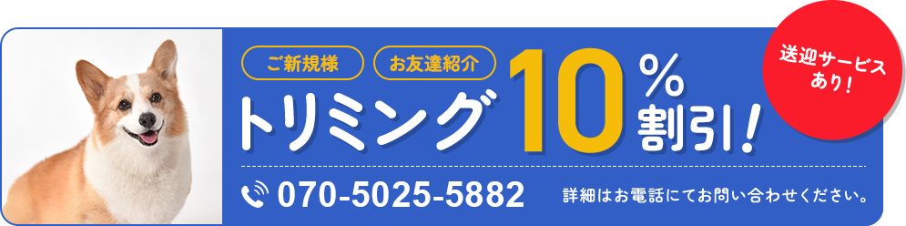 トリミング10％割引！
