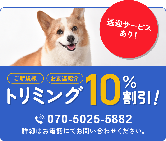 トリミング10％割引！