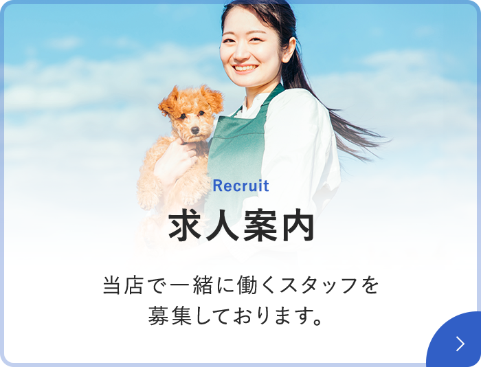 求人案内